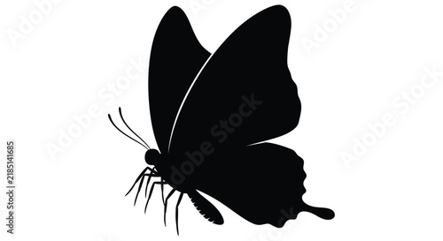 Canvastavla Black silhouette of a butterfly with outstretched wings and delicate antennae
