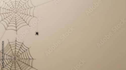 Intricate Spider Web Patterns and a Tiny Arachnid Suspended in a Minimalist Beige Background Perfect for Autumnal Halloween Themed Creative Designs