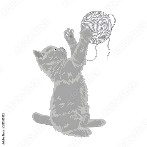 Cute Gray Kitten Playing with Ball of Yarn 