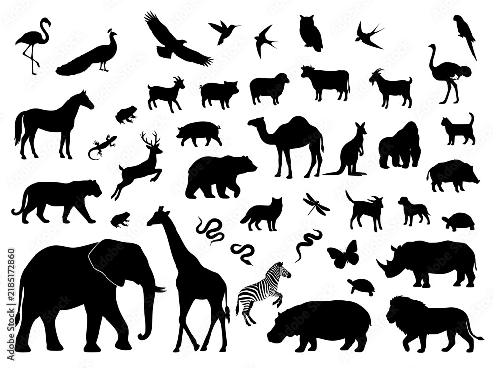 Fototapeta premium Black animal silhouettes collection, wild fauna and zoo creatures set, diverse nature wildlife vector icons for educational design