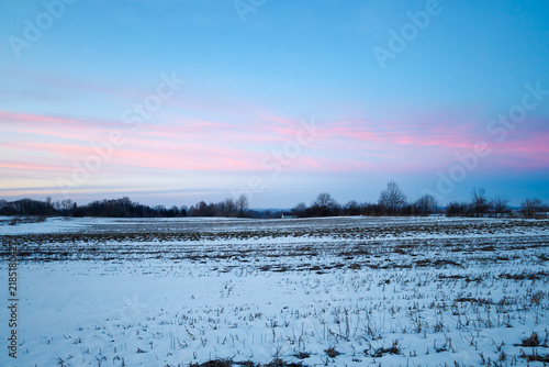 Cuadro en lienzo Delicate pink clouds adorn the twilight sky over a wide snowy field
