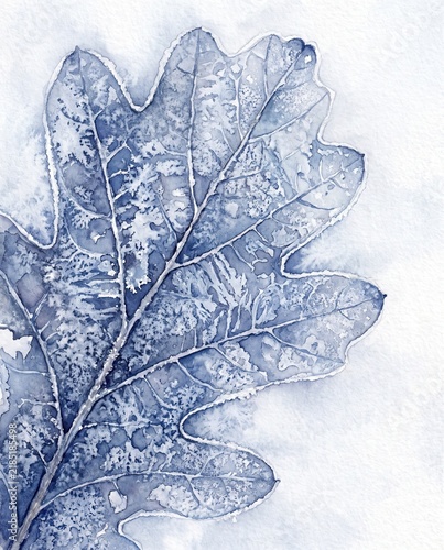 Watercolor illustration of frost covered leaf with delicate ice crystals on winter morning. Macro view of frozen foliage in blue tones. Cold season nature art for greeting card and winter design.