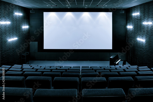 salle de cinema  , ecran blanc , projection de films , cinématèque ,salle vide , esthétique , cinema , salle de projection , fauteuils , gris , espace ciné , rangée de fauteuils , acoustique , 