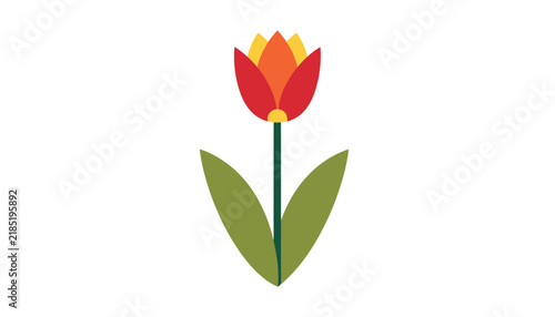 Colorful illustration of a single tulip flower with vibrant red and yellow petals on a green stem for spring and nature themed designs.