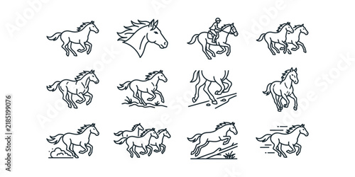 Collection of hand drawn horse line art illustrations.