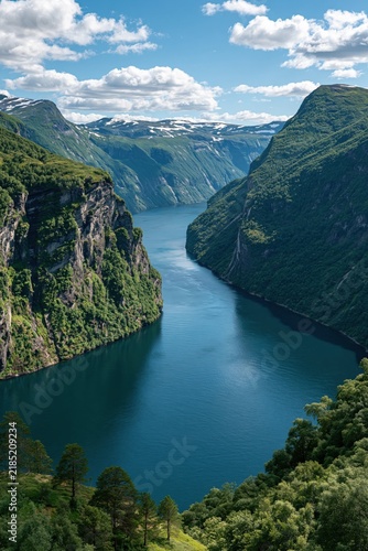 Wide view of a fjord surrounded by mountains and trees on a bright day in a scenic landscape
