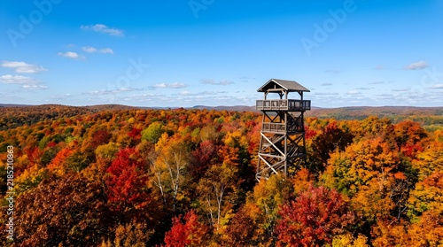Tall observation tower rising above colorful autumn tree forest