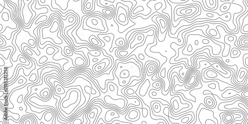 Elegant elevation contour line background, abstract delicate line work mapping height and terrain, for presentation, cover and web banner.