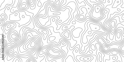 Elegant elevation contour line background, abstract curved elevation bands across the surface, for presentation, cover and web banner.