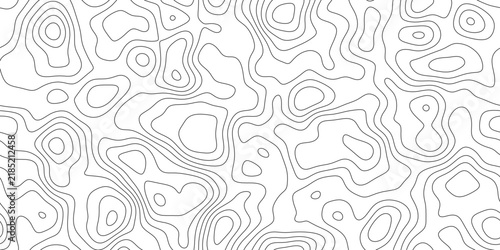 Abstract elegant topographic map line background, with smooth flowing lines and variable spacing, for presentation, cover and web banner.