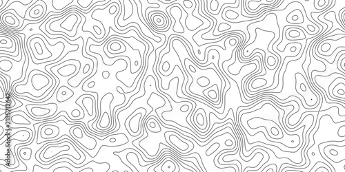 Abstract elegant topographic map line background, minimal geographic line texture with peaks and valleys, for presentation, cover and web banner.