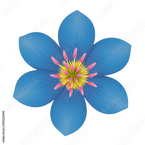 Beautiful blue flower icon with yellow and pink center details