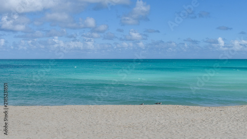 Fototapeta tropical beach with blue sky