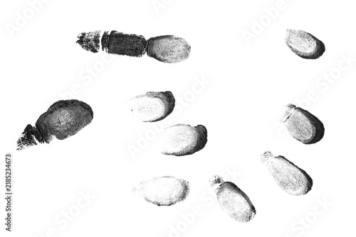 Konstfotografi Black fingerprint, isolated on a transparent background.