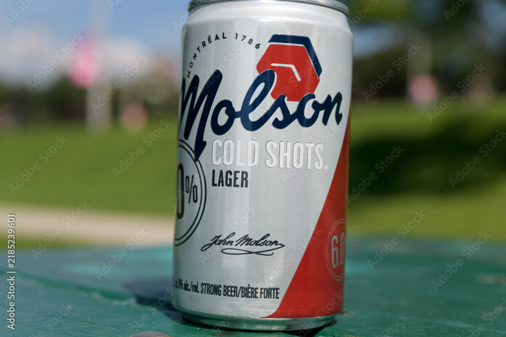 Obraz premium isolated metal can of Molson Cold Shots Lager on a picnic table in Toronto