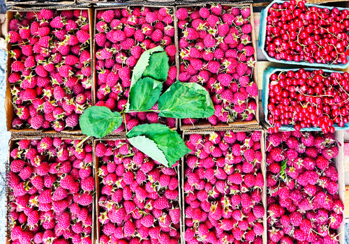 Canvastavla Fresh raspberries and red currants, neatly arranged in cardboard trays at the farmer's market