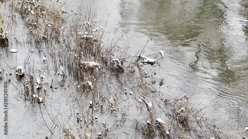 Static video clip of a winter marshland scene with snow covered vegetation and calm water. Overcast lighting creates a serene atmosphere.