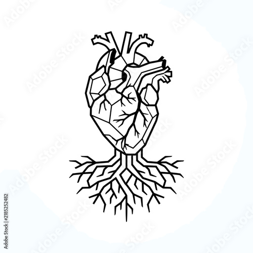 Anatomical Heart with Roots Black Line Art Illustration