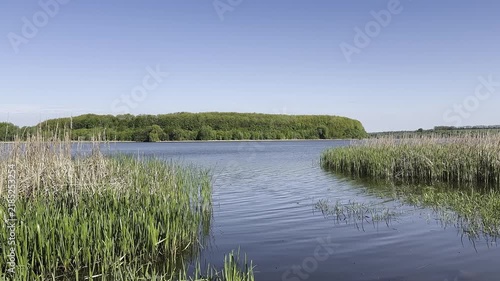 Static video clip of a tranquil lake surrounded by reeds and a distant forest under clear daylight, capturing the calm water and natural scenery.