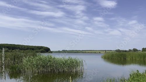 Static video clip of a serene lake surrounded by reeds and trees, captured under a clear blue sky with scattered clouds, during daylight.
