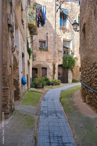 A narrow, historic street in a Catalan town, with old stone buildings, laundry hanging out to dry and potted plants lining the alley. Tivissa, Catalonia, Spain
