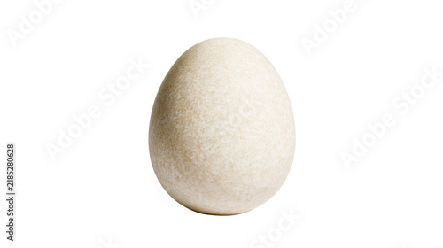 Принти на полотні Isolated natural raw bird egg, subtly speckled brown, fresh organic food ingredi