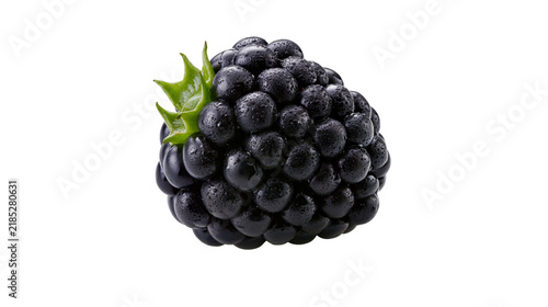 Obraz na plátne Isolated beautiful fresh ripe blackberry with natural refreshing water droplets