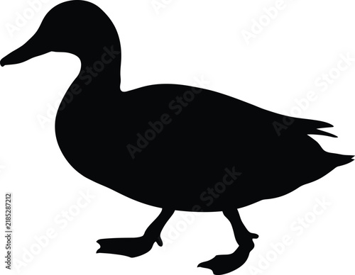 Фотография Duck walking silhouette vector. Duck vector icon
