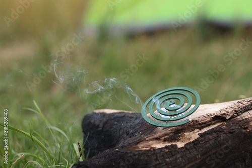 Bild auf Leinwand Smouldering insect repellent coil on tree trunk outdoors, space for text
