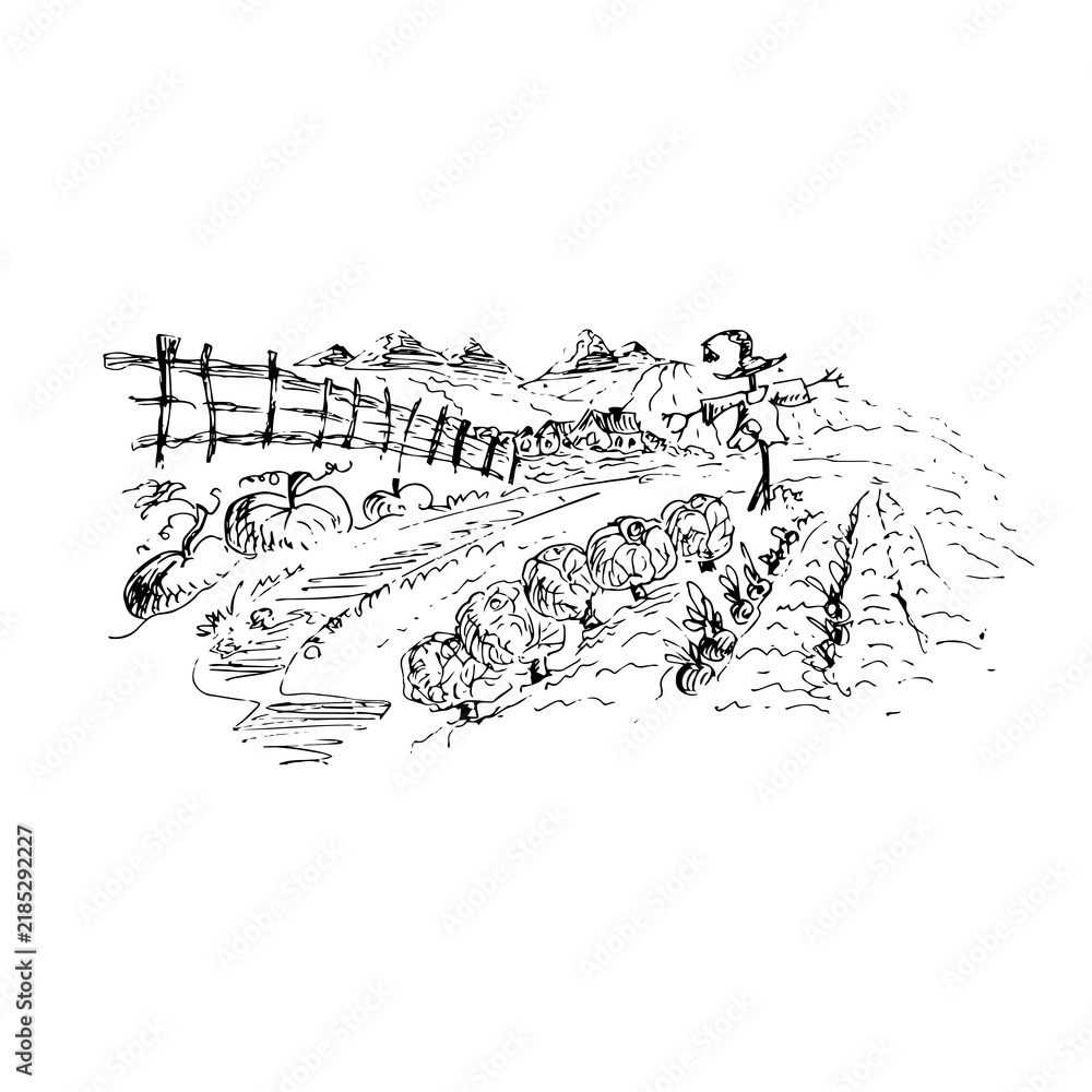 Obraz premium Rural landscape, a black-and-white drawing of fields and hills.