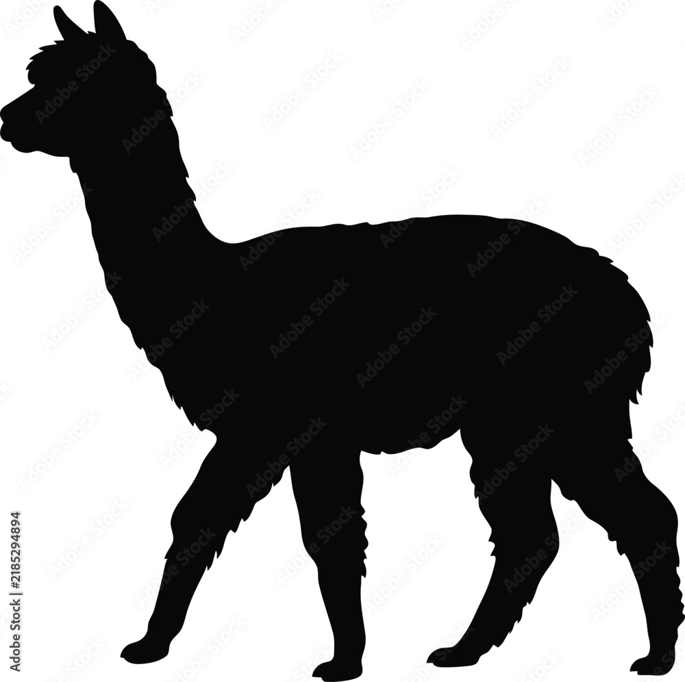 Obraz premium Alpaca silhouette vector. Llama vector icon