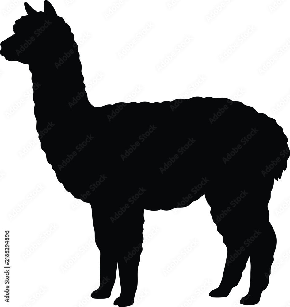 Fototapeta premium Alpaca silhouette vector. Llama vector icon