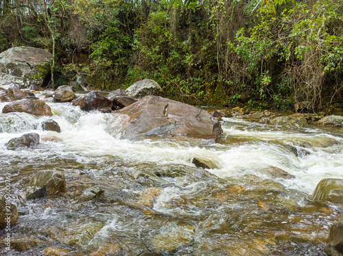 Flowing water forming rapids over large rocks amidst a lush forest with dense vegetation, waterfall like movement