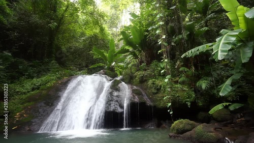 Static shot of waterfall cascading into jungle pool with surrounding mossy rocks and lush tropical rainforest canopy
