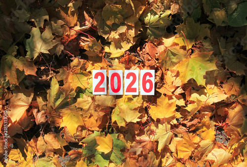 Autumn of 2026 year. Paper square numbers on the yellow maple leaves background. Coming fall. Autumn time in town, celebration concept. Outside walking in autumn forest in 2026. Falt leaves in park