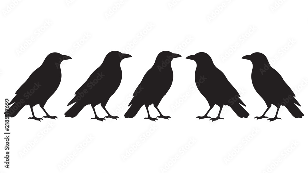 Fototapeta premium Five Black Crows Silhouette Standing in a Line