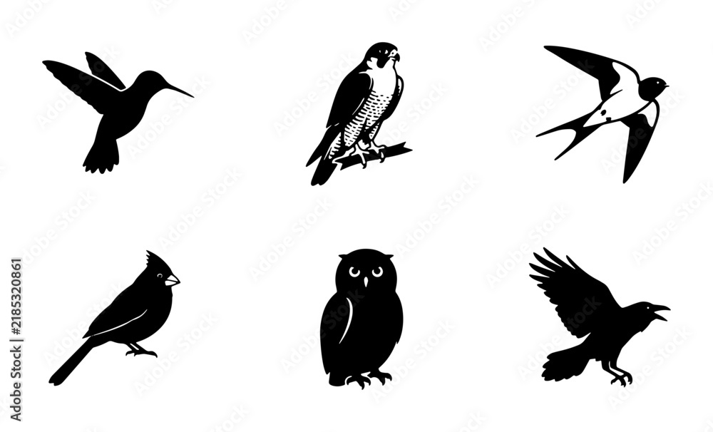 Obraz premium Set of 6 Vector Bird Silhouettes: Hummingbird, Falcon, Swallow, Cardinal, Owl, Raven Icons