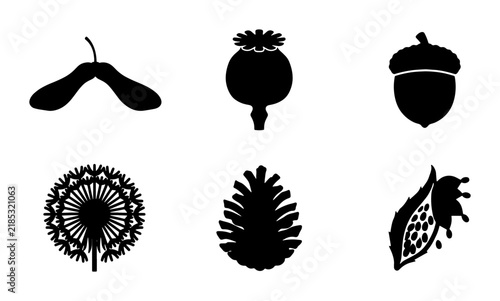 Nature's Seeds and Pods Vector Icons: Maple Seed, Poppy, Acorn, Dandelion, Pinecone, Pomegranate