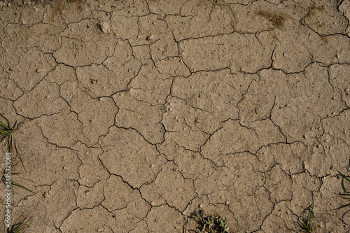 Konstfotografi Deep cracks in parched soil caused by prolonged hot weather and little to no precipitation
