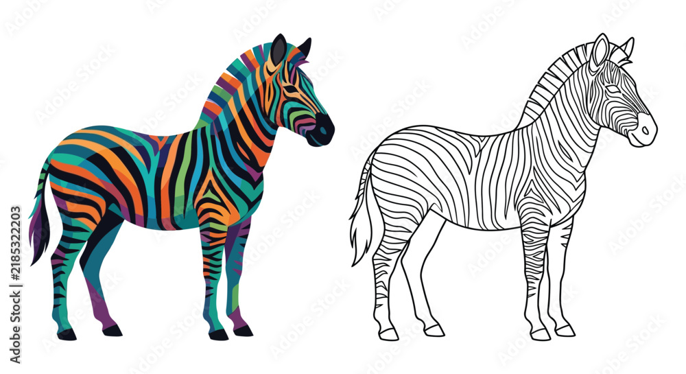 Fototapeta premium Colorful zebra illustration and its line art version on a white background