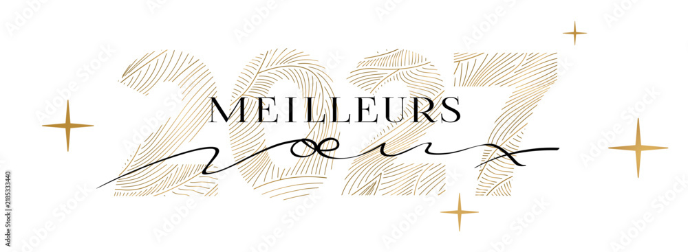 Naklejka premium MEILLEURS VOEUX 2027