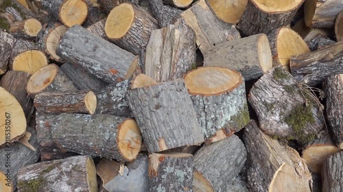 Close-up of freshly cut firewood logs and branches
