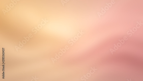 Картината върху платно Abstract gradient background panoramic style with soft blending warm champagne,