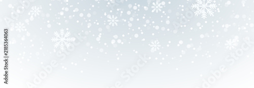 Christmas snowflakes on a transparent background. Snowflakes, snow background.