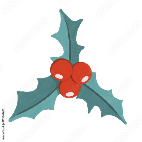 illustration of winter holly leaves with three red berries isolated on white background