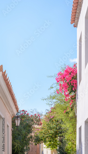 A view of a city street in Greece with a blue sky and blooming trees.
