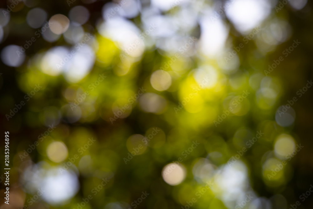 Obraz premium green blurred backdrop of nature, circle light wallpaper, white bokeh background