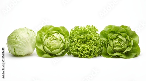 Fresh variety of whole lettuces including iceberg and green leafy lettuce heads isolated on white background with leafy greens