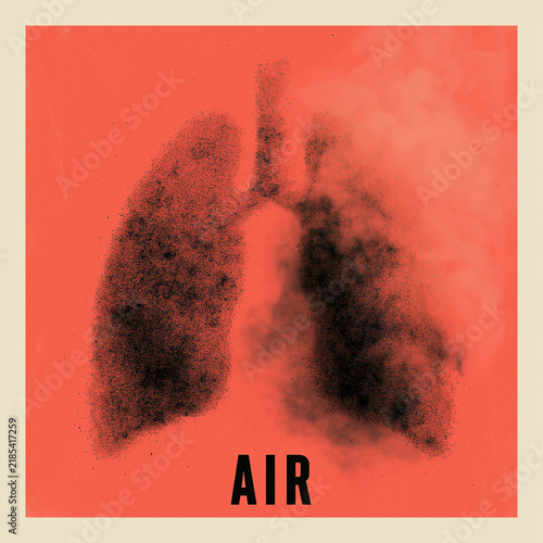 Lung filled with smoke symbolizing respiratory illness and the devastating effects of air pollution.