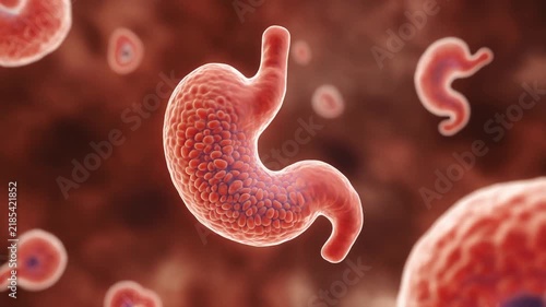 Firefly Extreme macro microscopic visualization of one realistic human gastric endocrine cell